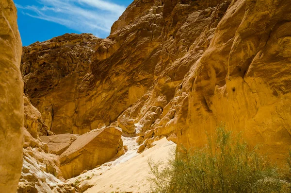 Високі скелясті гори і зелені Буша в Каньйон в єгипетському Дахабі — стокове фото