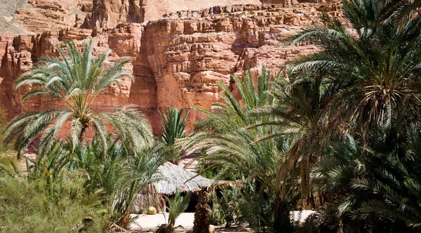 Habitando beduino en un oasis en el desierto entre las montañas i — Foto de Stock