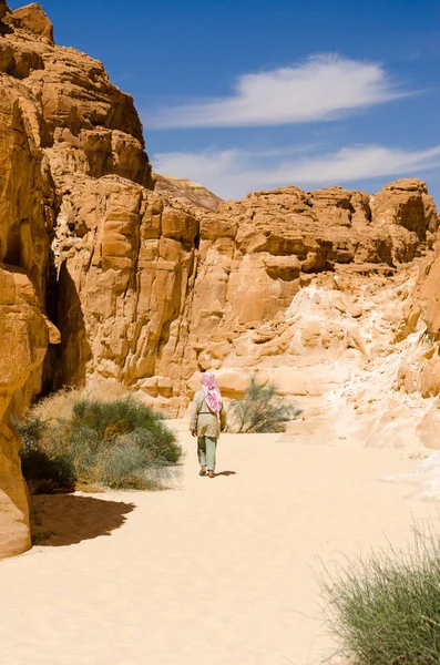 Бедуїни ходить між скелями в пустелі Каньйон в єгипетському Дахабі — стокове фото
