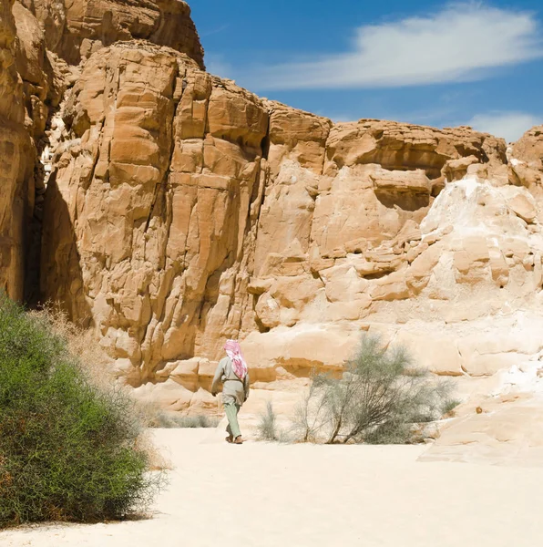 Бедуїни ходить між скелями в пустелі Каньйон в єгипетському Дахабі — стокове фото