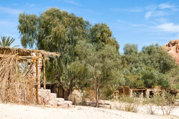 Habitando beduino en un oasis en el desierto entre las montañas i — Foto de Stock