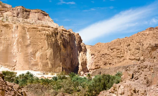 Habitando beduino en un oasis en el desierto entre las montañas i — Foto de Stock