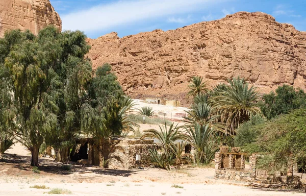 Habitando beduino en un oasis en el desierto entre las montañas i — Foto de Stock