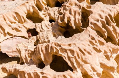 Taş taş doku portre