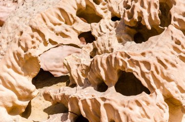 Taş taş doku portre