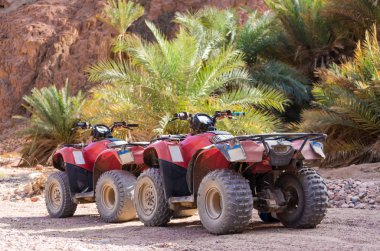 dört karşı çölde tüm arazi araç dört tekerlekli 