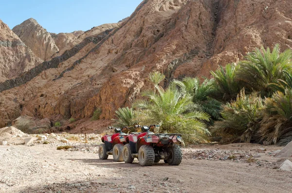 Quatro rodas todo o terreno veículo quatro no deserto contra o — Fotografia de Stock