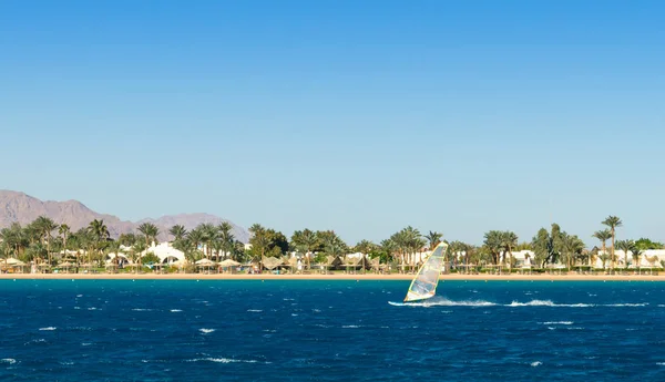 Paseos en windsurf en el fondo de la playa con palmeras — Foto de Stock