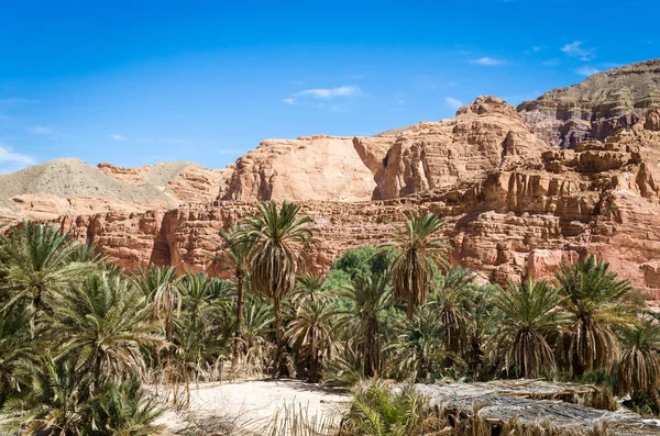 Oásis com palmeiras no deserto entre a alta montanha rochosa — Fotografia de Stock