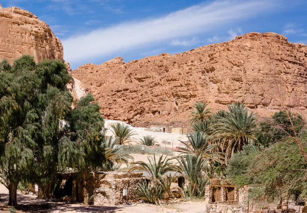 Pueblo beduino en un oasis en el desierto entre las montañas en — Foto de Stock