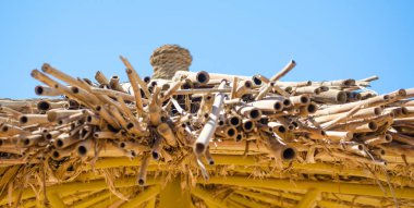 bir baston plaj şemsiyesi parçası kapatmak karşı mavi bir gökyüzü