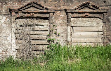 pencereler ve yeşil bitkiler kadar kaplanmış eski ev kapatın