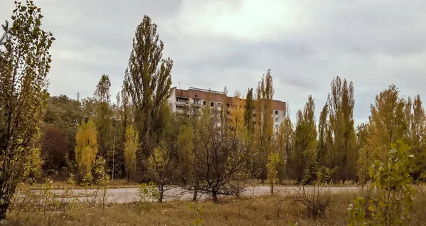 Rue et maisons parmi les arbres dans la ville abandonnée déserte vide de Pripyat — Photo