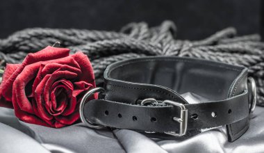 bdsm still life, black human collar, scarlet rose, hank of black rope for bondage shibari on a gray sheet on a black background clipart