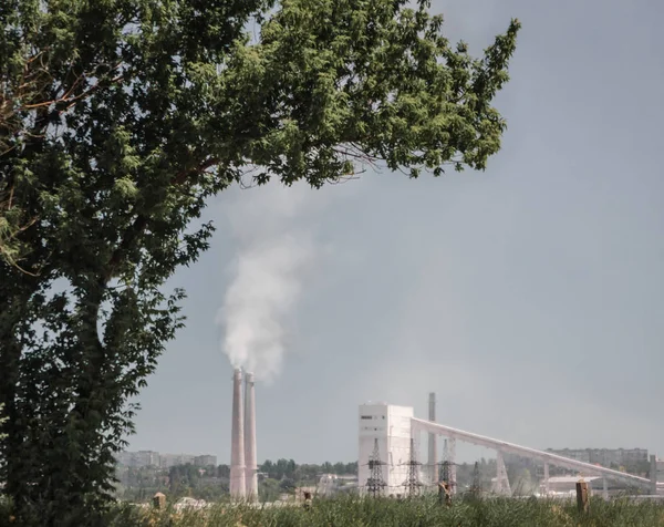 Fabriek met rook pijpen op een achtergrond van een boom met groene bladeren — Stockfoto