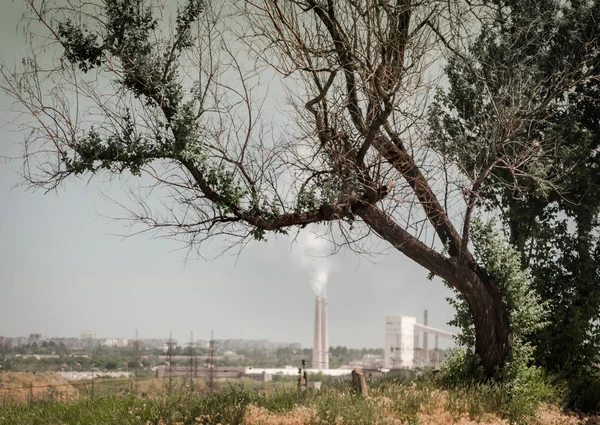 Fábrica con pipas ahumadas en el fondo de un árbol con ramas secas y cielo gris en Ucrania — Foto de Stock