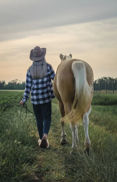Joven rubia en un sombrero y una camisa a cuadros camina con un caballo por la noche en una granja en el pueblo — Foto de Stock