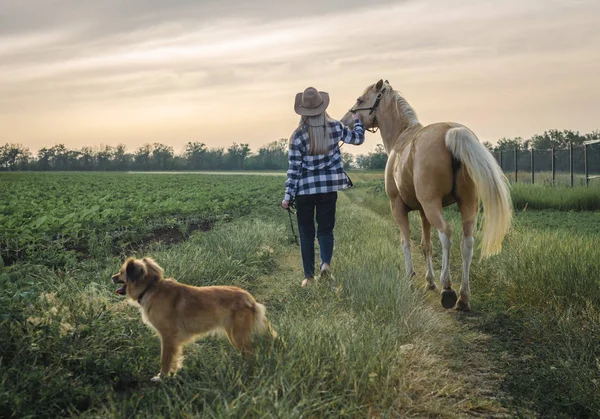 Joven rubia en un sombrero y una camisa a cuadros pasea con un caballo y un perro por la noche en una granja en el pueblo — Foto de Stock