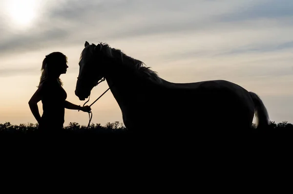 Silueta de una joven con un caballo en el fondo del atardecer —  Fotos de Stock