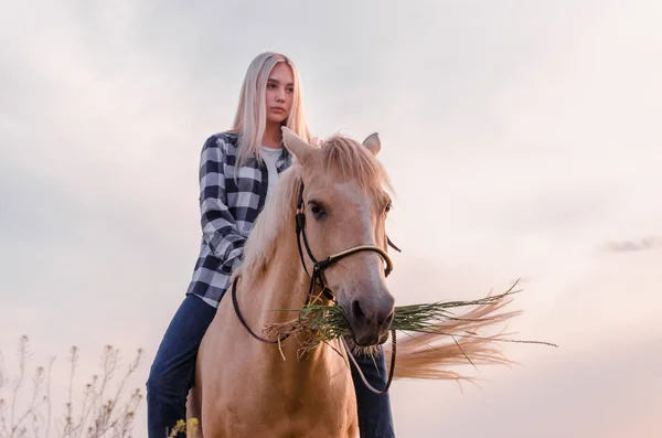 Joven rubia vestida con vaqueros azules y una camisa a cuadros se sienta en un caballo en el primer plano del rancho — Foto de Stock