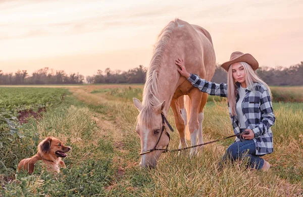 Chica rubia joven vestida con un sombrero de vaquero y vaqueros azules con un caballo y un perro en el rancho — Foto de Stock