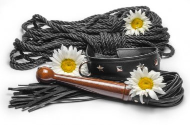 bdsm leather lash and black collar with shibari rope and yellow daisy flowers on a white background clipart