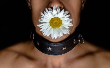 adult man in a black leather collar with a daisy flower in his mouth on a black background clipart