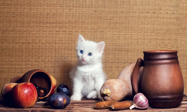 Automne nature morte chaton pelucheux aux yeux bleus blanc assis sur une table en bois dans la coupe de légumes fruits et tasses d'argile — Photo
