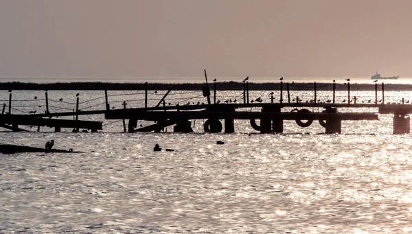 silhouette of an old broken pier with birds in the sea in summer evening