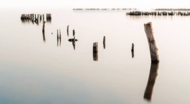 suyun sakin bir yüzeyde ahşap sütunlar