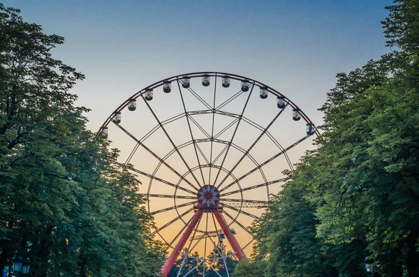 Roda gigante no parque contra o céu azul atrás das árvores — Fotografia de Stock