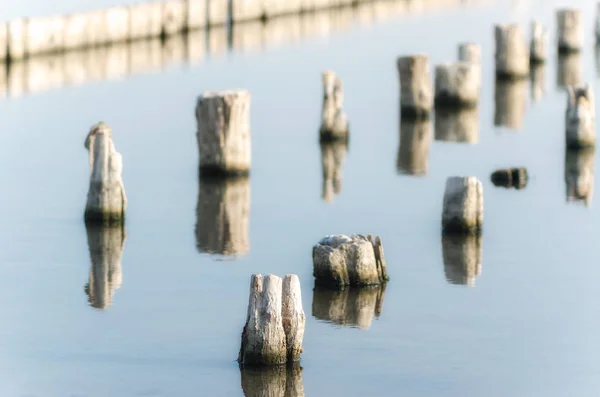 Drewniane słupki w spokojnym jeziorze wody w popołudniowej jesieni — Zdjęcie stockowe