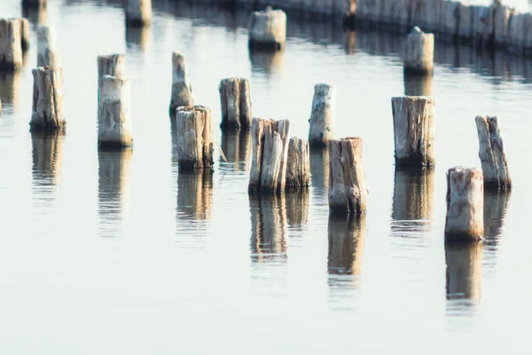 Holzpfähle im ruhigen Seewasser im Herbst am Nachmittag — Stockfoto