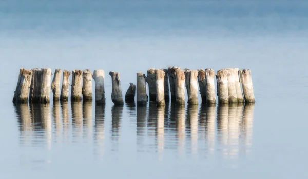 Wooden posts in calm lake water in the afternoon autumn — Stock Photo, Image