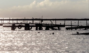 yaz aylarında denizde kuşlar ile eski bir kırık iskele silueti