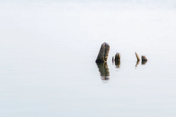 Holzpfähle im ruhigen Seewasser im herbstlichen Hintergrund am Nachmittag — Stockfoto