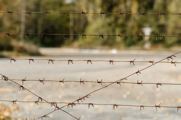 Barbed wire fence in Chernobyl Ukraine — ストック写真