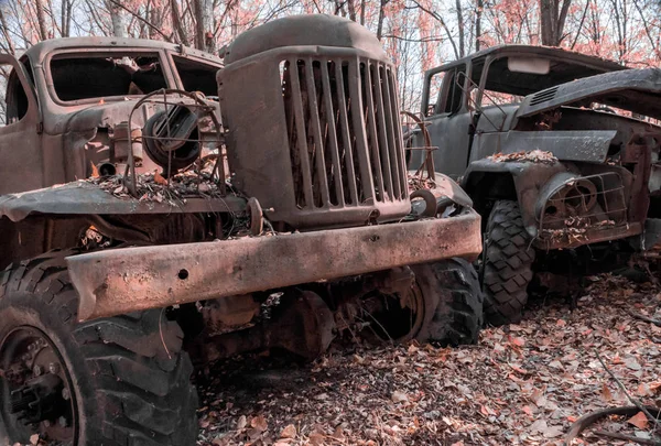 Dwie porzucone ciężarówki wojskowe w lesie w Czarnobylu — Zdjęcie stockowe
