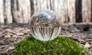 Ağaçların ve gökyüzünün yansıması olan cam küre.