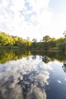  Göl ve ağaçlı manzara