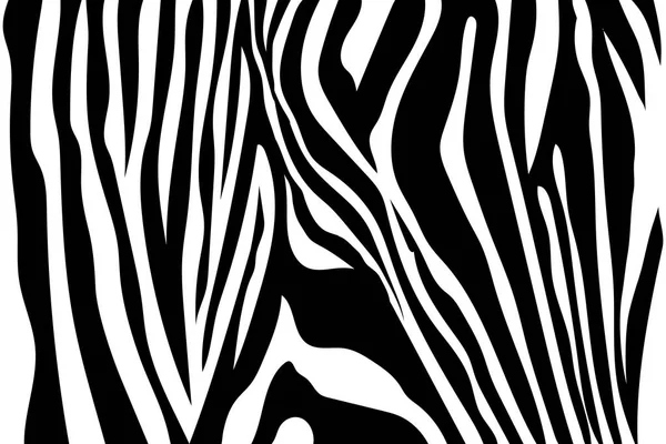 Zebra Strepen Patroon Zebra Print Huid Van Een Proefdier Tijger — Stockvector