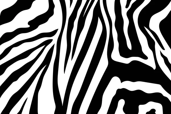 Ζέβρα Ρίγες Μοτίβο Ζέβρα Ζωικό Δέρμα Τιγρέ Σχέδιο Αφηρημένη Φαντασία — Διανυσματικό Αρχείο