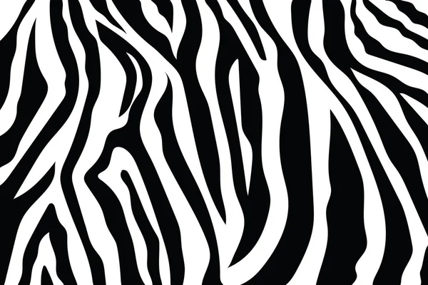 斑马条纹图案 斑马版画 动物皮肤 虎条纹 抽象图案 线条背景 惊人的手绘矢量插图 黑白图稿单色 — 图库矢量图片