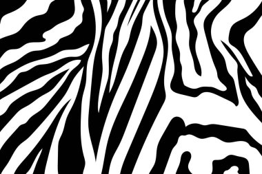 Zebra çizgili desen. Zebra baskı, hayvan cilt, kaplan şeritleri, soyut desen, satır arkaplanı, kumaş. Şaşırtıcı elle çizilmiş vektör çizim. Poster, afiş. Siyah-beyaz sanat tek renkli