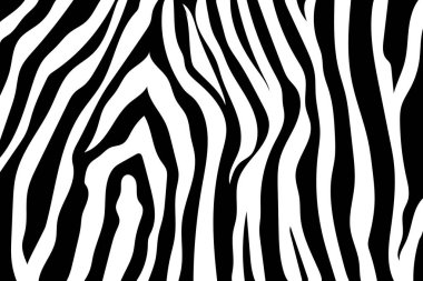 Zebra çizgili desen. Zebra baskı, hayvan cilt, kaplan şeritleri, soyut desen, satır arkaplanı, kumaş. Şaşırtıcı elle çizilmiş vektör çizim. Poster, afiş. Siyah-beyaz sanat tek renkli