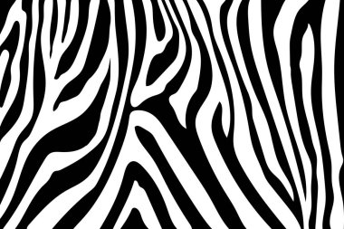 Zebra çizgili desen. Zebra baskı, hayvan cilt, kaplan şeritleri, soyut desen, satır arkaplanı, kumaş. Şaşırtıcı elle çizilmiş vektör çizim. Poster, afiş. Siyah-beyaz sanat tek renkli