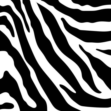 Zebra çizgili desen. Zebra baskı, hayvan cilt, kaplan şeritleri, soyut desen, satır arkaplanı, kumaş. Şaşırtıcı elle çizilmiş vektör çizim. Poster, afiş. Siyah-beyaz sanat tek renkli