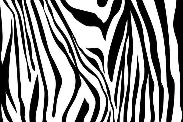 Zebra Çizgili Desen Zebra Baskı Hayvan Cilt Kaplan Şeritleri Soyut — Stok Vektör