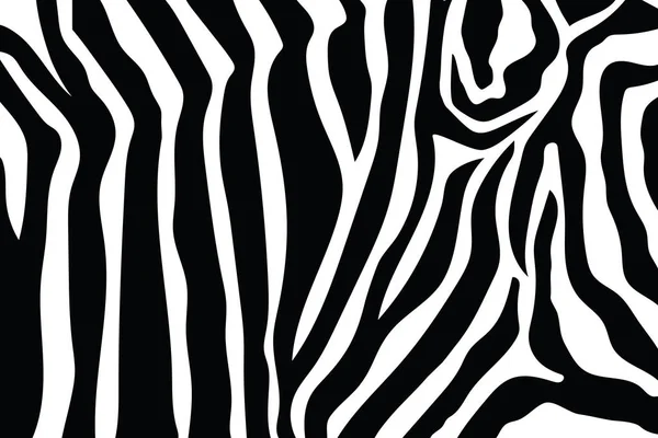 Padrão Listras Zebra Zebra Imprimir Pele Animal Listras Tigre Padrão — Vetor de Stock