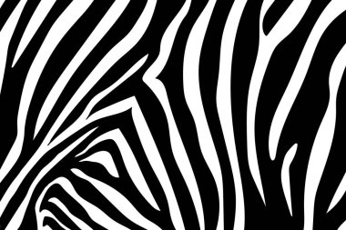 Zebra çizgili desen. Zebra baskı, hayvan cilt, kaplan şeritleri, soyut desen, satır arkaplanı, kumaş. Şaşırtıcı elle çizilmiş vektör çizim. Poster, afiş. Siyah-beyaz sanat tek renkli